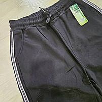 Спортивні штани жіночі оптом, 4XL-8XL pp,  № F-196, фото 4