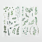 Набір наліпок Евкаліпт Плівка 6 листів NKL079, фото 2