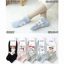 Підліткові укорочені шкарпетки з собачками Розмір: 36- 41 (14465)