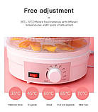 Сушарка для фруктів і овочів, дегідратор ROYALS RB 959 з терморегулятором, електрична, 5 ярусів, фото 6