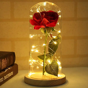 Вічна троянда в колбі з підсвічуванням на батарейках, в подарунковій упаковці, 21см, Червона / Вічна квітка в колбі