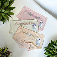 Хлопковые детские шортики 3шт трусики для девочки Baykar арт 5868