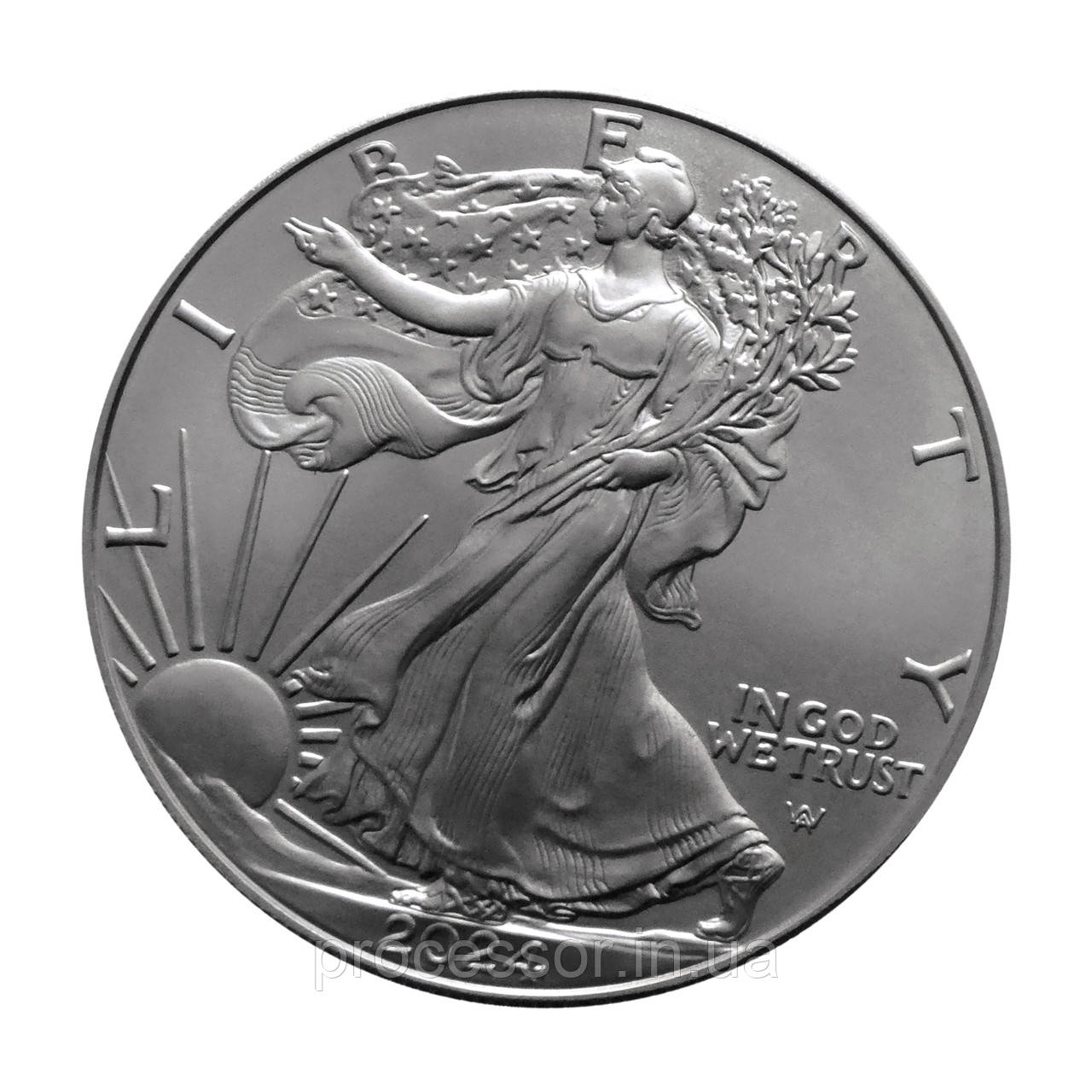 Срібна монета 1 Долар США 2024 Liberty 31,1 грама — Шапальна Свобода, Американський орел 999,9