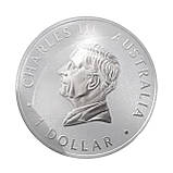 Срібна монета Австралійський страус Ему 1oz 2024 Австралія 999.9 інвестиційна 1 долар, фото 4