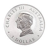 Срібна монета Австралійський страус Ему 1oz 2024 Австралія 999.9 інвестиційна 1 долар, фото 6