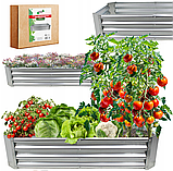 Садова грядка оцинкована Garden Line ZAK8304 240x120x30 см для овочів та квітів, фото 4