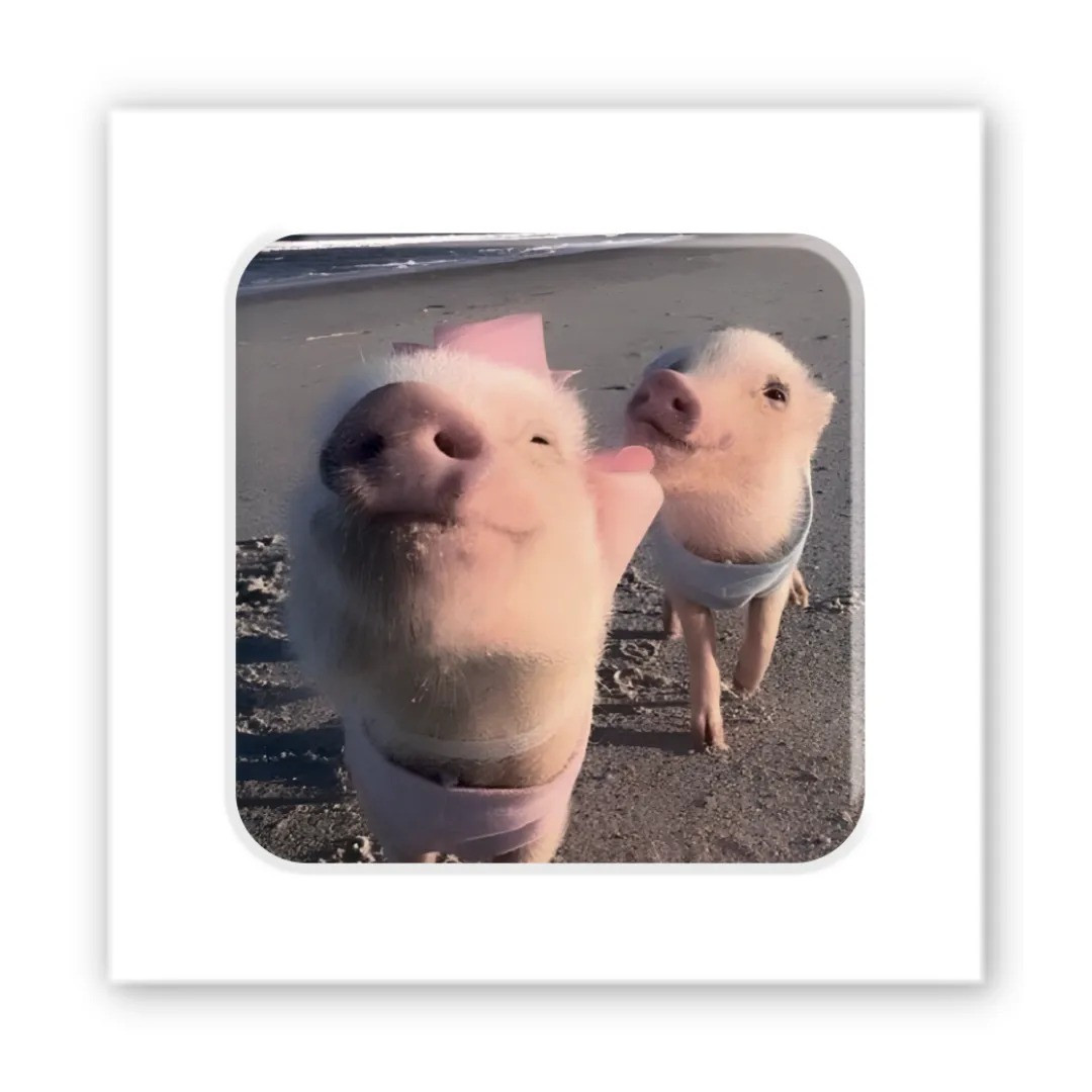 3D-стікер Piggy selfie