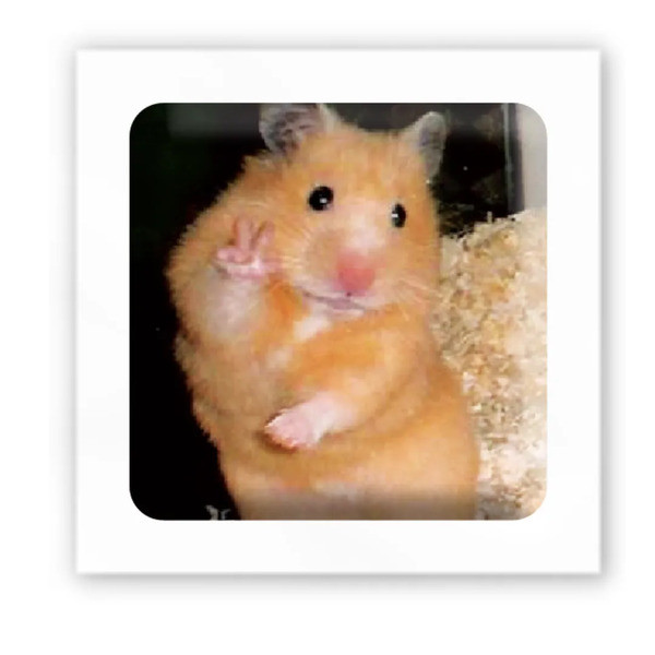 3D-стікер Хомяк каже привіт, фото 1