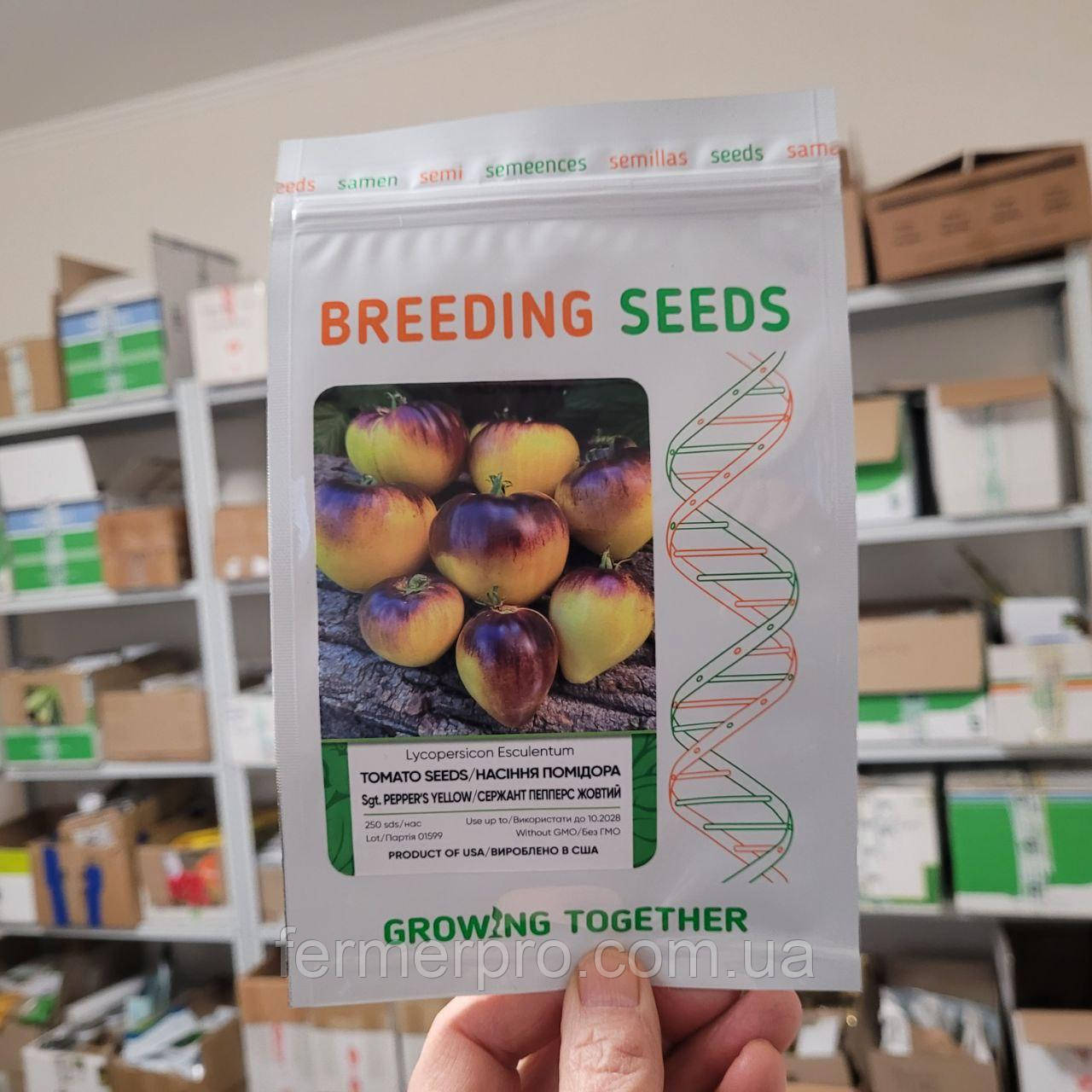 Насіння томату Сержант Пеппер жовтий, 250 насінин, Breeding Seeds