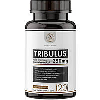 БАД Трибулус при статевих розладах 120 таблеток Tibetan formula