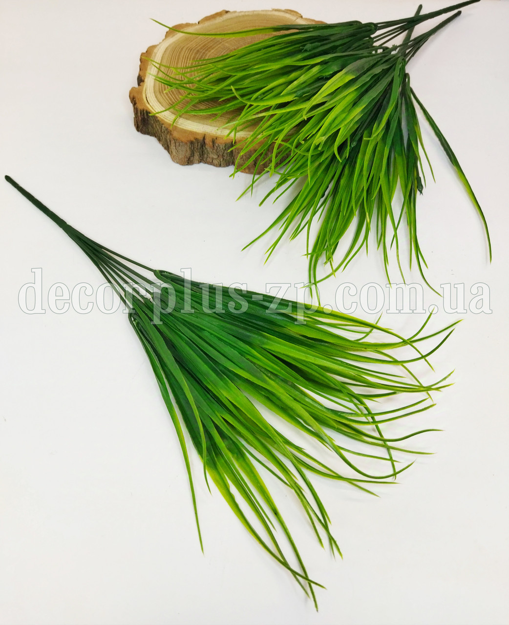 Осока (7гілок), фото 1