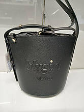 Сумка  Blugirl (Блугерл) 229009