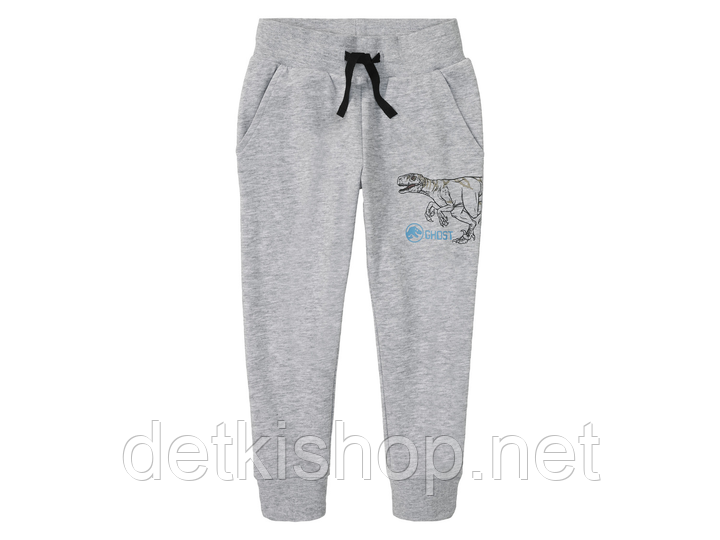 Спортивні штани джогери для хлопчика Jurassic World