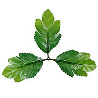 Аркуш штучної каліні, 17 см