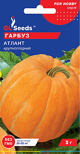 Насіння гарбуза Атлант 3г GL Seeds