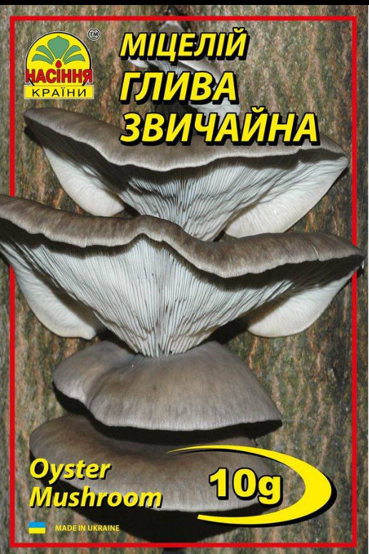 Гриби Глива звичайна 10г "Насіння Країни", фото 1