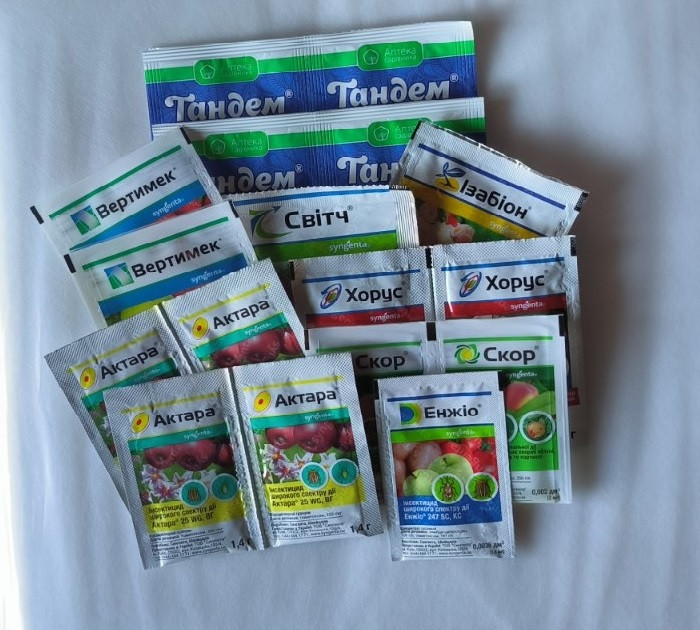 Набір для обробки лохини на сезон, Syngenta