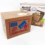 Дитяча сейф скарбничка злодюжка монет у коробці OG-40, фото 10