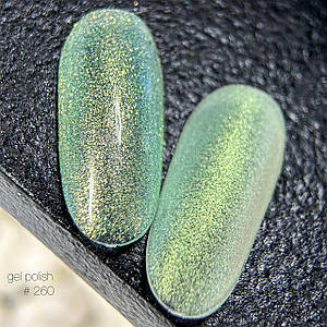 260 SHINE Lady Arms  8 гр.