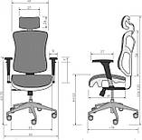 Офісне крісло для персоналу Diablo Chairs V-Basic black/grey, фото 3