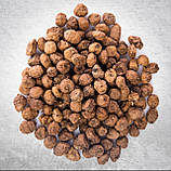 Тигровий горіх Xufex (Іспанія) Tiger Nut Standart Mix 8-12mm (2025) - 25kg, фото 6