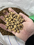 Тигровий горіх Xufex (Іспанія) Tiger Nut Standart Mix 8-12mm (2025) - 25kg, фото 10