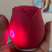 Жіночий вібратор вакуумно-хвильовий, вібро стимулятор орального сексу для жінок, Інтимні іграшки