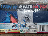 Труси боксери для хлопця Щенячий патруль Paw Patrol компект з 3 штук різні кольори розміри від 98 до 116, фото 5