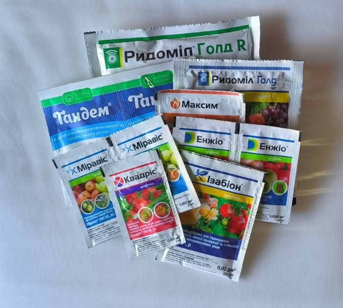 Набір для обробки цибулі та часнику на сезон, Syngenta