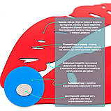 Дзеркальний декор акриловий самоклеючий Губи червоні, 2шт (D) SW-00002500, фото 4