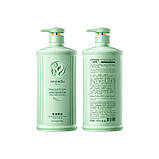 Шампунь для контроля жирности с  салициловой кислотой  Fayankou,750 мл., фото 3