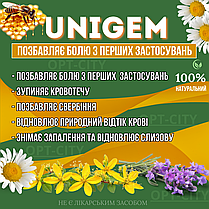 Гель від геморою ЮніГем позбавляє болю з перших застосувань Unigem, фото 2