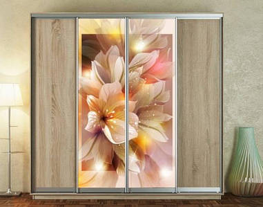 НАКЛЕЙКИ НА ШАФУ КУПЕ