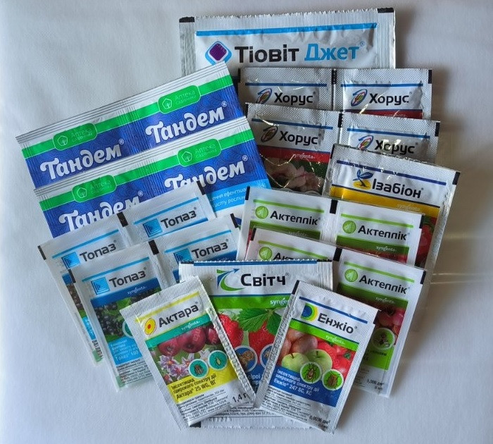Набір для обробки смородини і малини на сезон, Syngenta