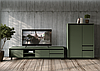 Комод REG2D1S1K Лаундж БРВ зелений димчастий / чорний, фото 2