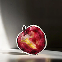 Набір для вишивання нитками на пластиковій основі FLX-056