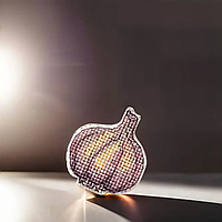 Набір для вишивання нитками на пластиковій основі FLX-057