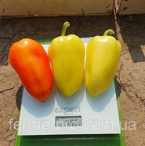 Насіння перця Фьорст 500 насінин Sarata, фото 1