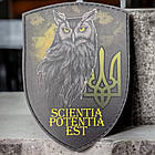 Scientia Potentia Est - Знання - сила шеврон / патч