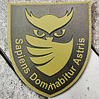 Патч / шеврон ЗСУ із совою "Sapiens Dominabitur Astris" Розвідка