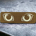 Котячі очі, що світяться койот шеврон / патч