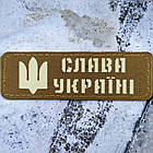 Слава Україні койот шеврон / патч