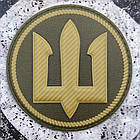 Морська піхота олива шеврон / патч