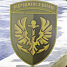380 батальйон резерву морської піхоти Відроджені з вогню олива патч / шеврон
