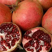 Гранат Ак-Дона (3-х річний)