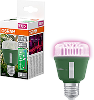 Фітолампа з регулюванням спектра світла OSRAM T60 10W