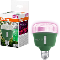 Фітолампа з регулюванням спектра світла OSRAM T80 20W