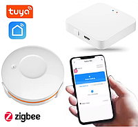 Smart датчик протечки воды 1DAL WS02B2 + Хаб ZigBee Tuya WG128A
