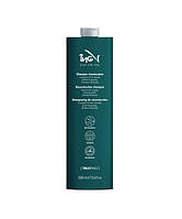 Шампунь для пошкодженого волосся ING Professional Treat-ING Treated Hair Shampoo, 1000мл