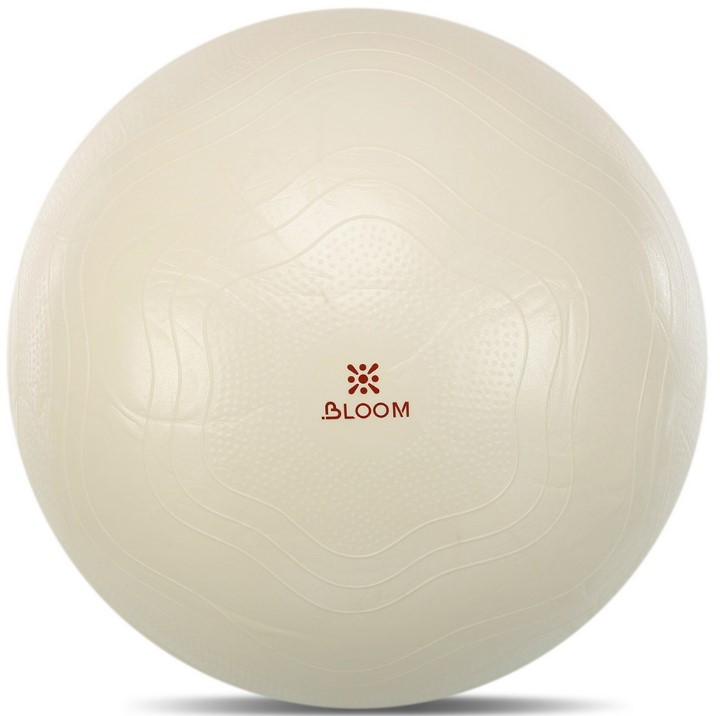 Фітбол м'яч для фітнесу сатин BLOOM Коричневий (діаметр 75 см) LB7051-75